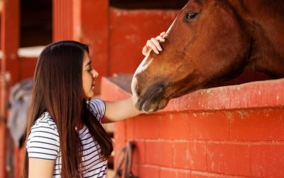 El caballo como maestro: valores que se aprenden más allá de la pista