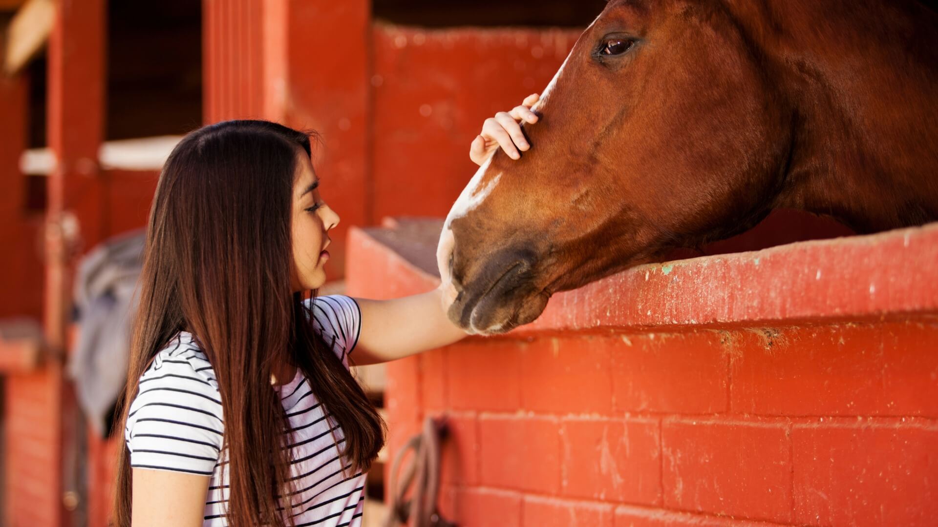 Rancho Guadalupe Club de Equitación y Equinoterapia 29